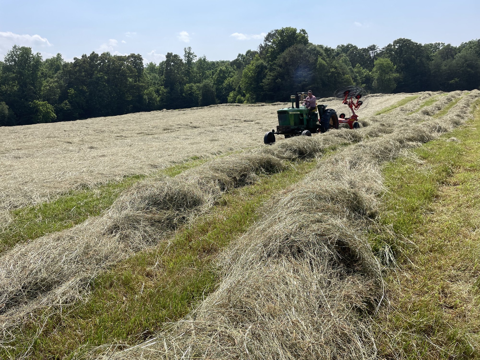 John Deere tractor working a rotary rake on cut hay