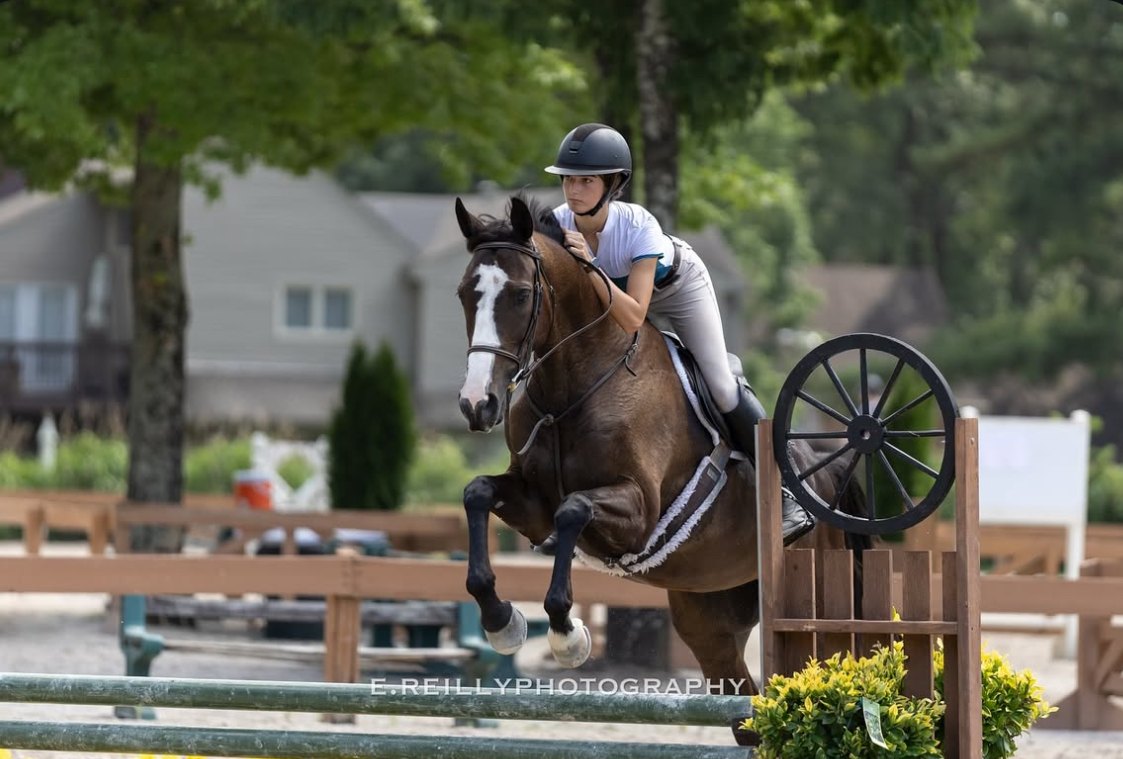 Dark bay clearing a wagon-wheel show jump in competition
