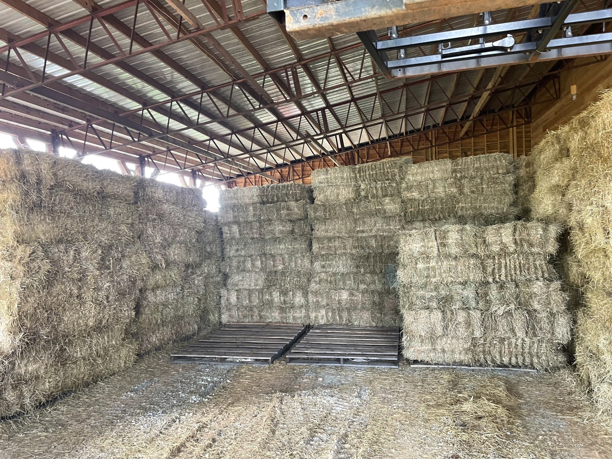 Square bales stacked floor-to-ceiling in the barn interior