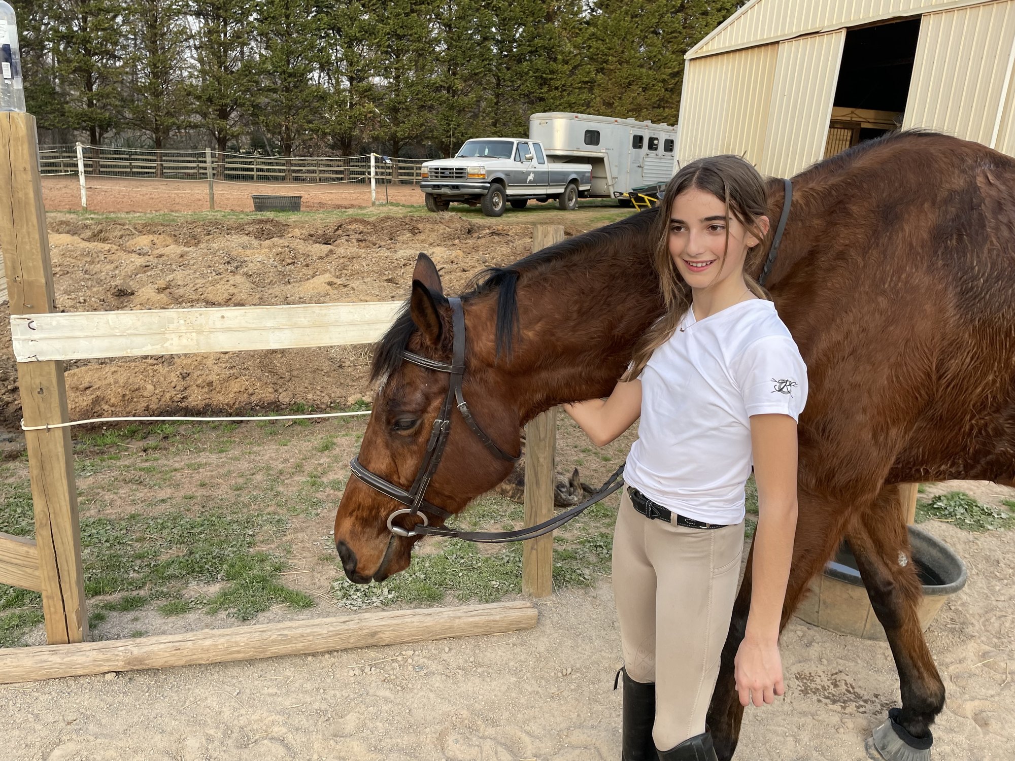 Young rider with a bay horse beside the stable